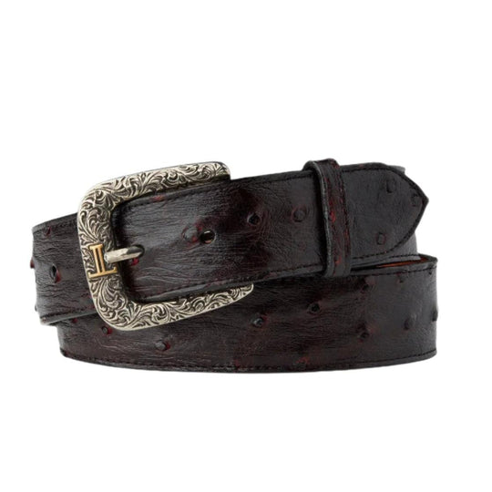 Lucchese Full Quill Ostrich Belt-Men's Accessories-Black Cherry-34-Kevin's Fine Outdoor Gear & Apparel
