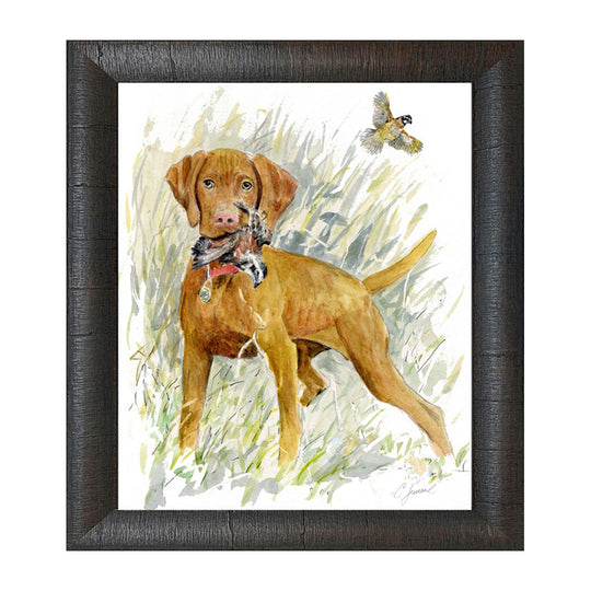 Upland Bird Dog Framed Prints-Home/Giftware-Vizsla-Kevin's Fine Outdoor Gear & Apparel