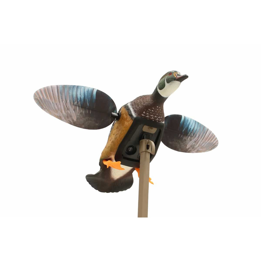 MOJO Elite Series Wood Duck Decoy - Remote Ready-Hunting/Outdoors-Kevin's Fine Outdoor Gear & Apparel