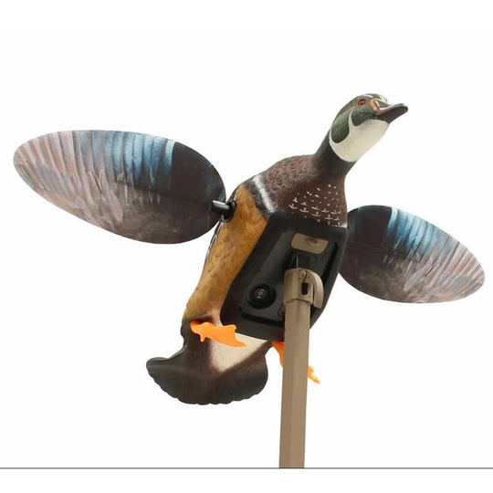 MOJO Elite Series Wood Duck Decoy-Hunting/Outdoors-Kevin's Fine Outdoor Gear & Apparel