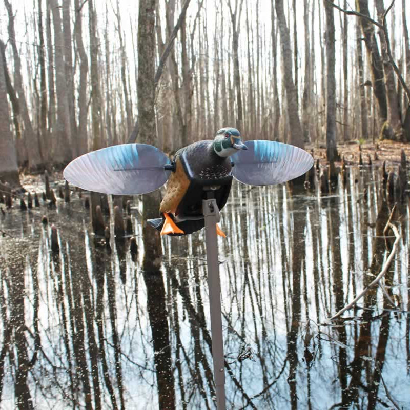 MOJO Elite Series Wood Duck Decoy-Hunting/Outdoors-Kevin's Fine Outdoor Gear & Apparel