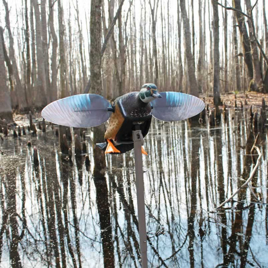 MOJO Elite Series Wood Duck Decoy-Hunting/Outdoors-Kevin's Fine Outdoor Gear & Apparel