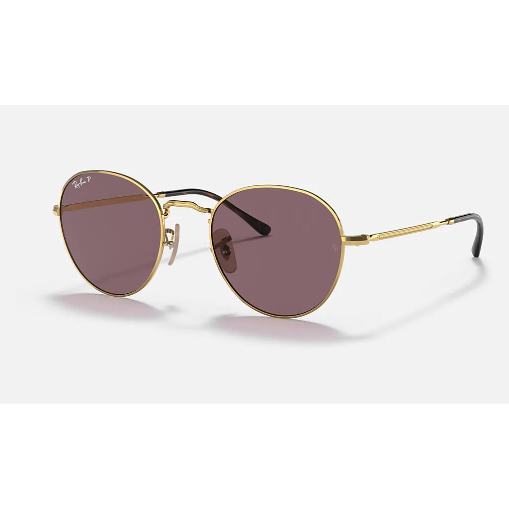 Ray Ban "David" Polarized Sunglasses-Sunglasses-Gold-Violet Classic-Kevin's Fine Outdoor Gear & Apparel