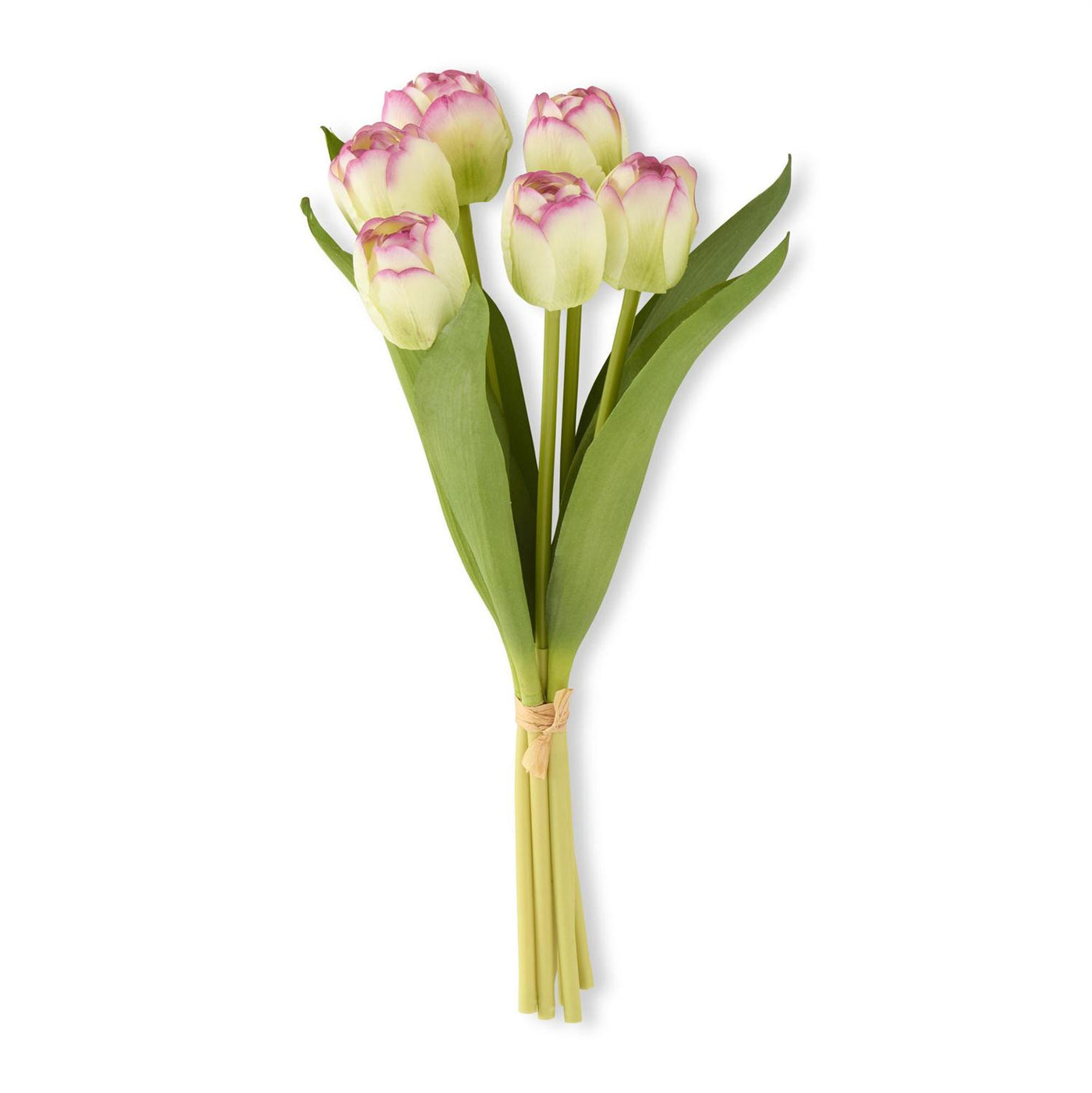 13" Real Tulip 6 Stem-Home/Giftware-Green W/ Purple-Kevin's Fine Outdoor Gear & Apparel