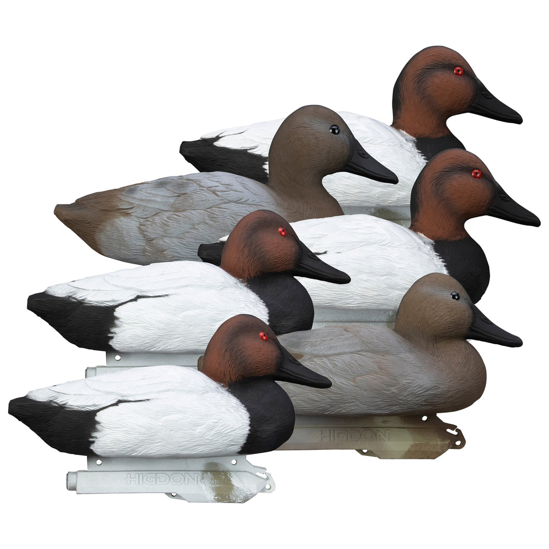 Higdon Outdoors Standard Canvasback Decoys-Hunting/Outdoors-Kevin's Fine Outdoor Gear & Apparel