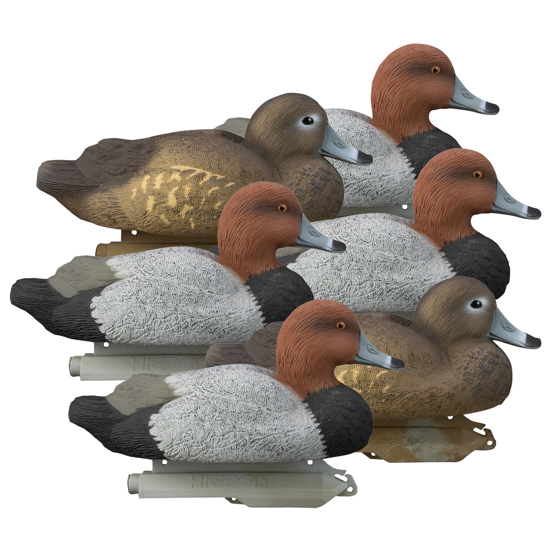 Higdon Outdoors Standard Foam Filled Redhead Duck Decoys-Hunting/Outdoors-Kevin's Fine Outdoor Gear & Apparel