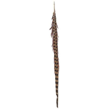 Ring Neck Feather-HOME/GIFTWARE-Kevin's Fine Outdoor Gear & Apparel
