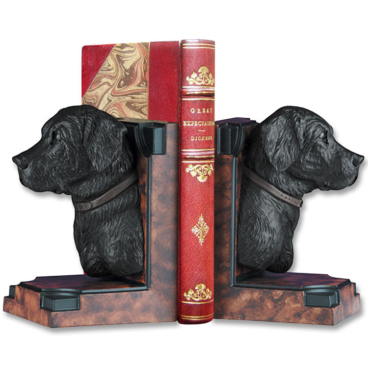 Lab Head Bookends