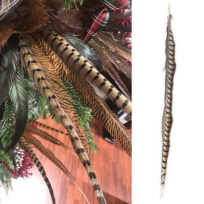 Lady Amethyst Pheasant Feather