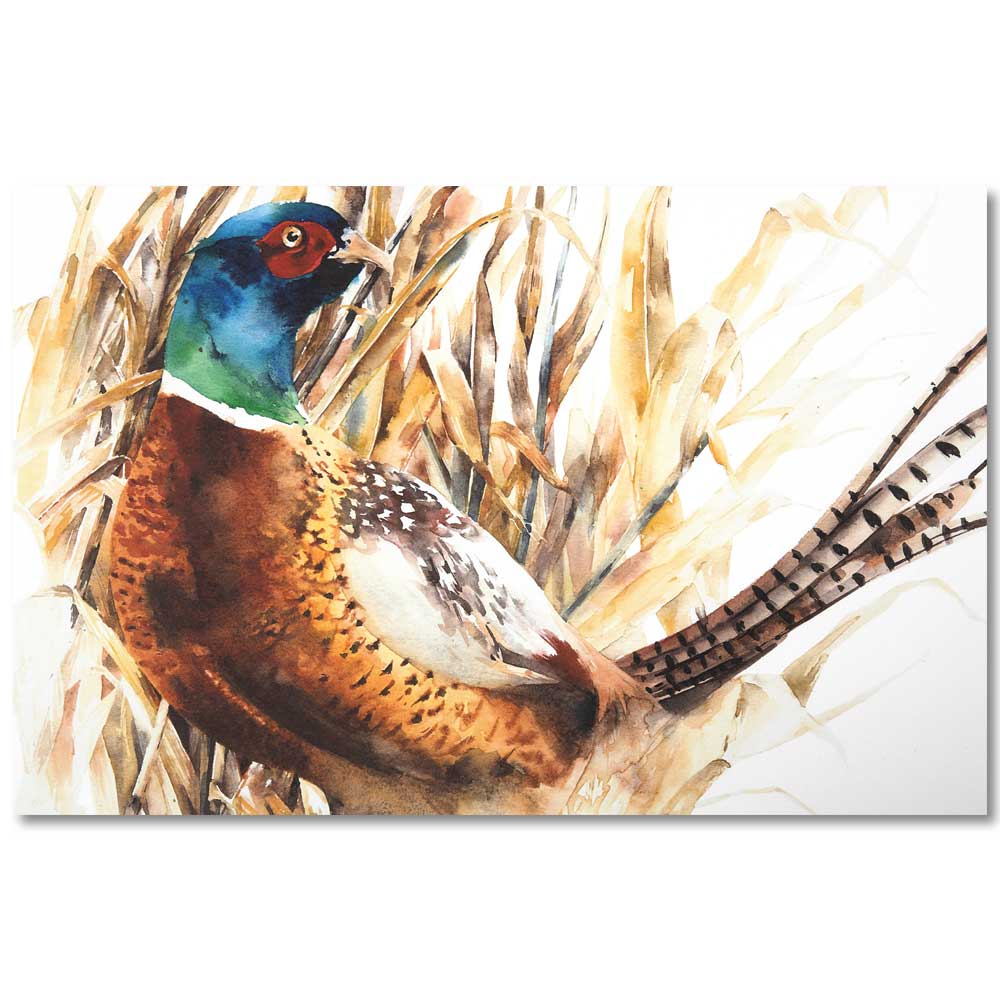 Kevin's Luxury Placements-Lifestyle-Pheasant-Kevin's Fine Outdoor Gear & Apparel