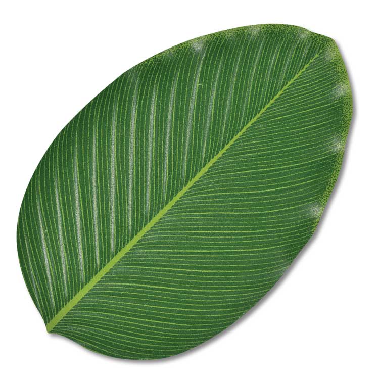 Banana Leaf Placemat