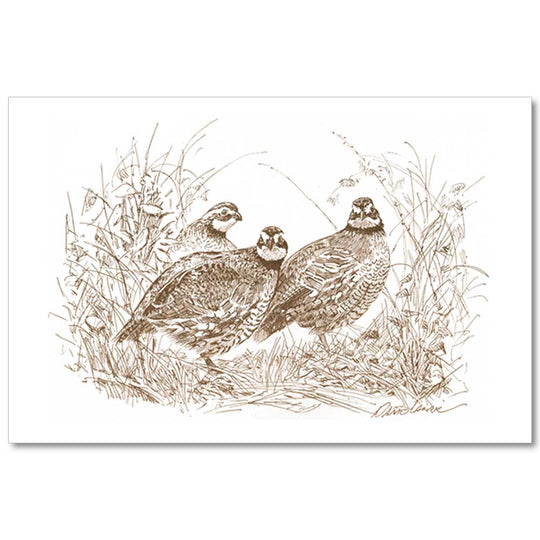 Kevin's Linen Placemats in Sporting Themes-HOME/GIFTWARE-Maison De Papier-ELEGANT QUAIL-Kevin's Fine Outdoor Gear & Apparel