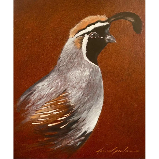 Quail Series Oil Prints by "Daniel Porter"-Decor-Kevin's Fine Outdoor Gear & Apparel