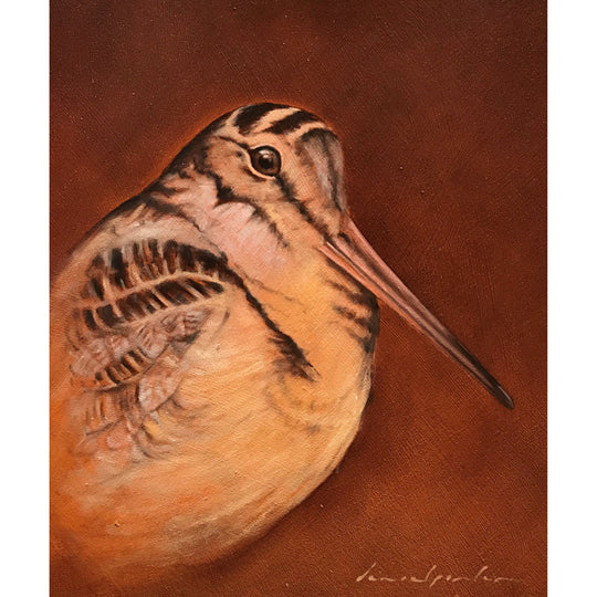 Game Bird Series Oil Prints by "Daniel Porter"-Decor-Woodcock-Kevin's Fine Outdoor Gear & Apparel