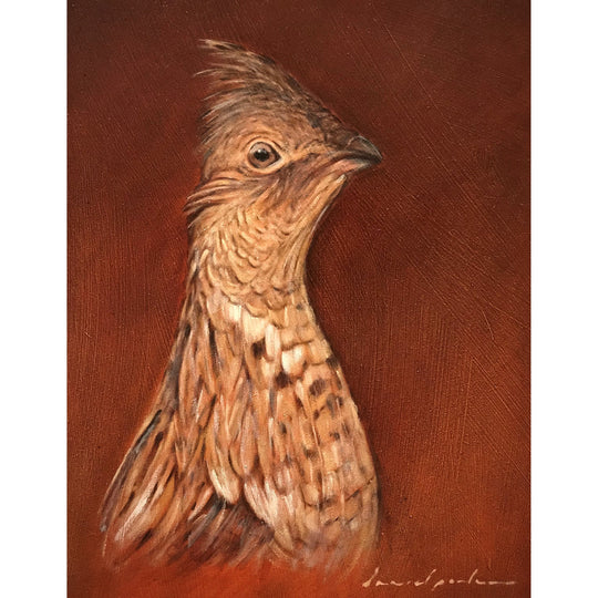 Game Bird Series Oil Prints by "Daniel Porter"-Decor-Common Quail-Kevin's Fine Outdoor Gear & Apparel