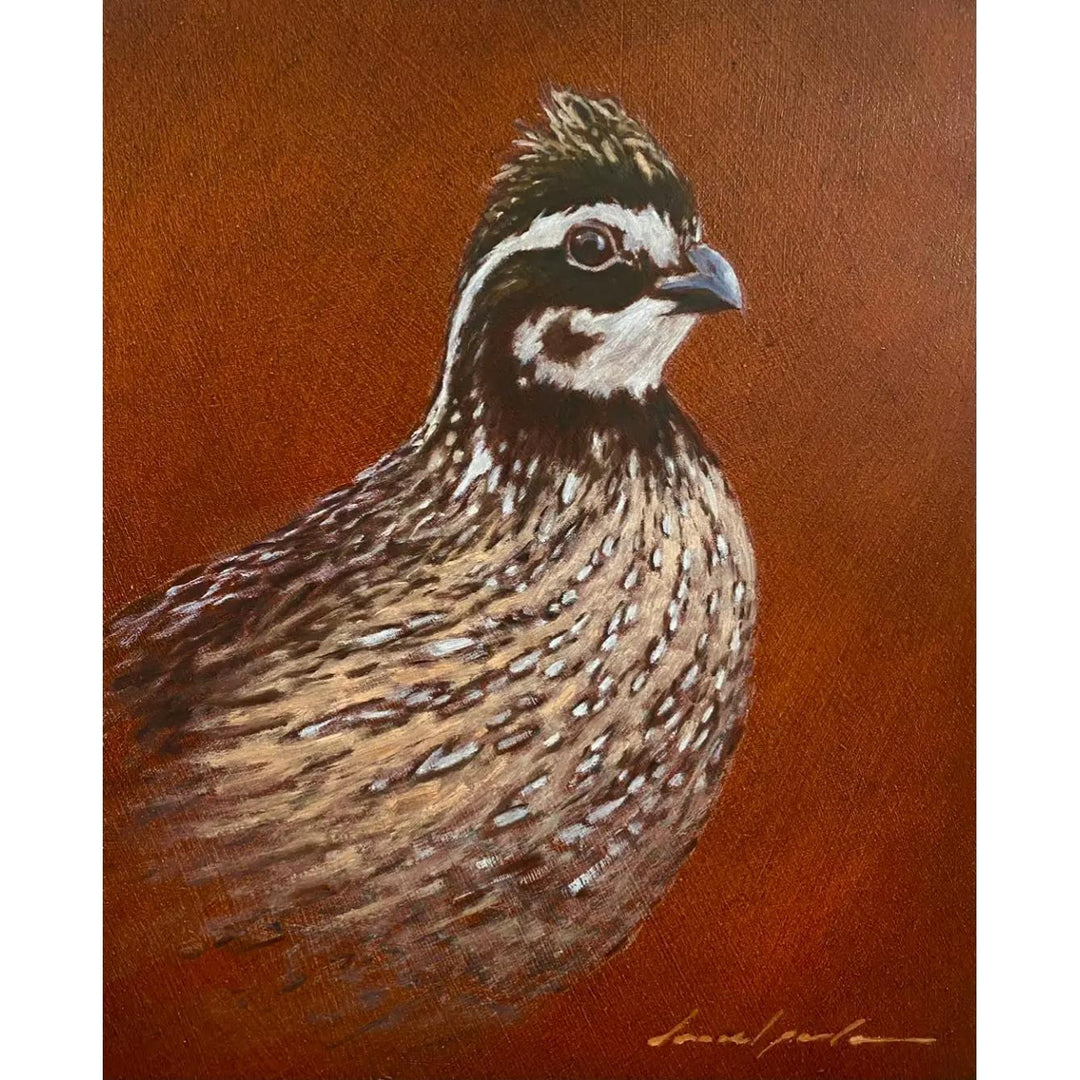 Quail Series 4 Pack of Note Cards by "Daniel Porter"-Decor-Kevin's Fine Outdoor Gear & Apparel