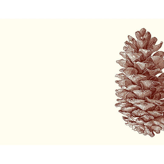 Alexa Pulitzer A2 Note Cards-HOME/GIFTWARE-PINE CONE-Kevin's Fine Outdoor Gear & Apparel