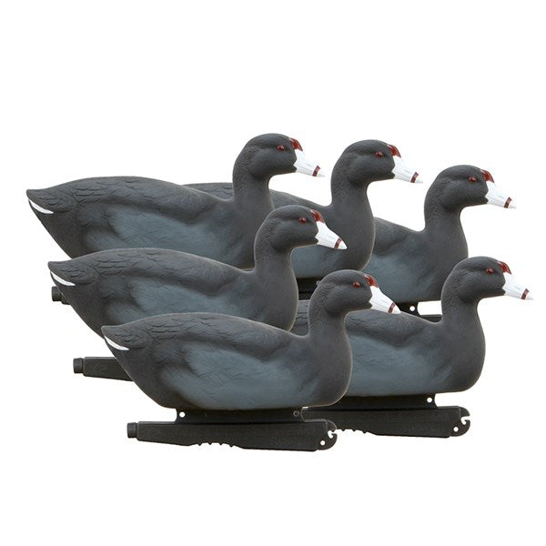 Avery Oversize Coot Decoys