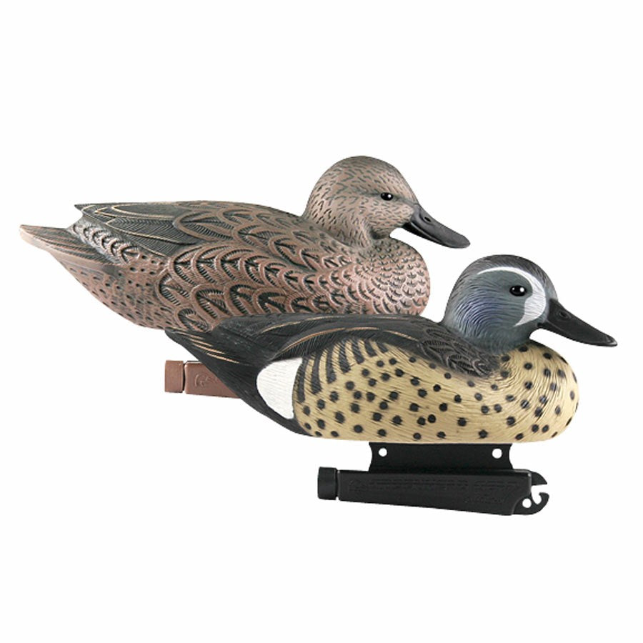 Avery Life Sized Blue Wing Teal