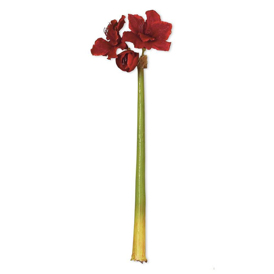 Red Amaryllis Stem-Home/Giftware-Kevin's Fine Outdoor Gear & Apparel
