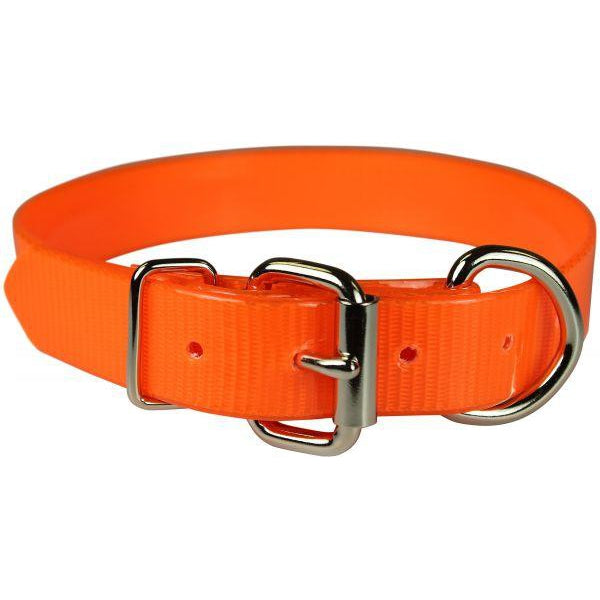 Sunglo Dog Collar - 3/4"-PET SUPPLY-Orange-16"-Kevin's Fine Outdoor Gear & Apparel