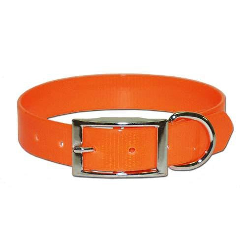 Sunglo Dog Collar - 1"-PET SUPPLY-Orange-19"-Kevin's Fine Outdoor Gear & Apparel