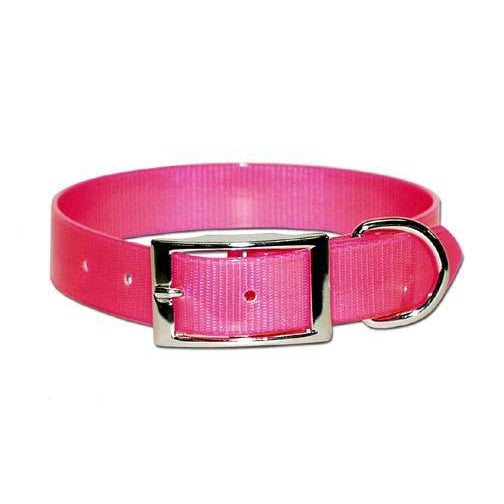 Sunglo Dog Collar - 1"-PET SUPPLY-Pink-19"-Kevin's Fine Outdoor Gear & Apparel