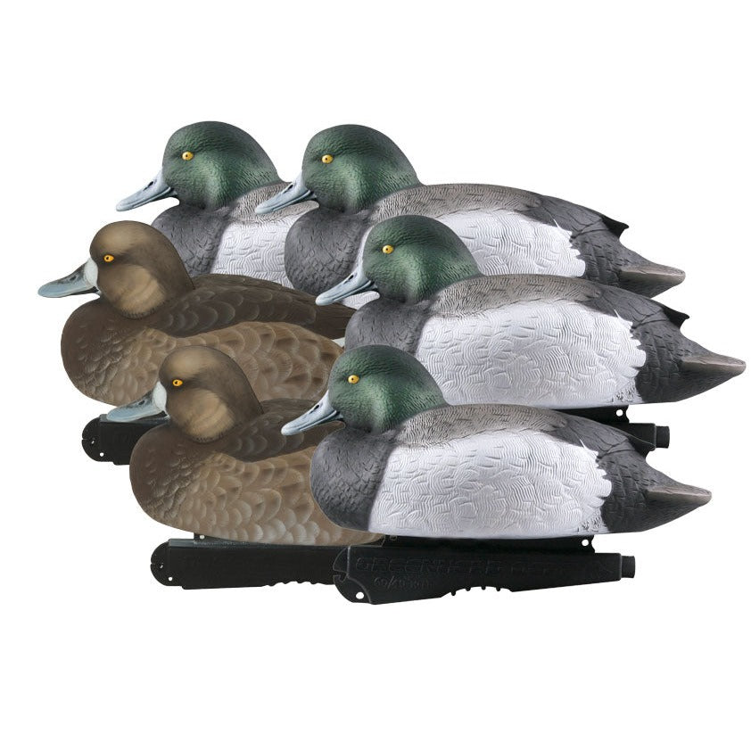 GHG Oversize Blue Bill Decoys-Hunting/Outdoors-Kevin's Fine Outdoor Gear & Apparel