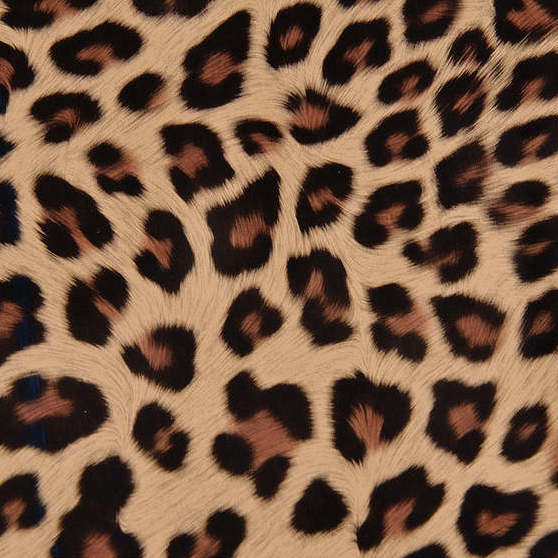 Kid's Custom Briar Pant Facing-MISCELLANEOUS-Leopard Twill-Kevin's Fine Outdoor Gear & Apparel