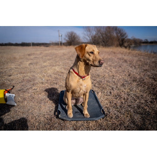 Lucky Duck Kennel Cot