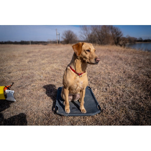 Lucky Duck Kennel Cot-Hunting/Outdoors-INTERMEDIATE-Kevin's Fine Outdoor Gear & Apparel