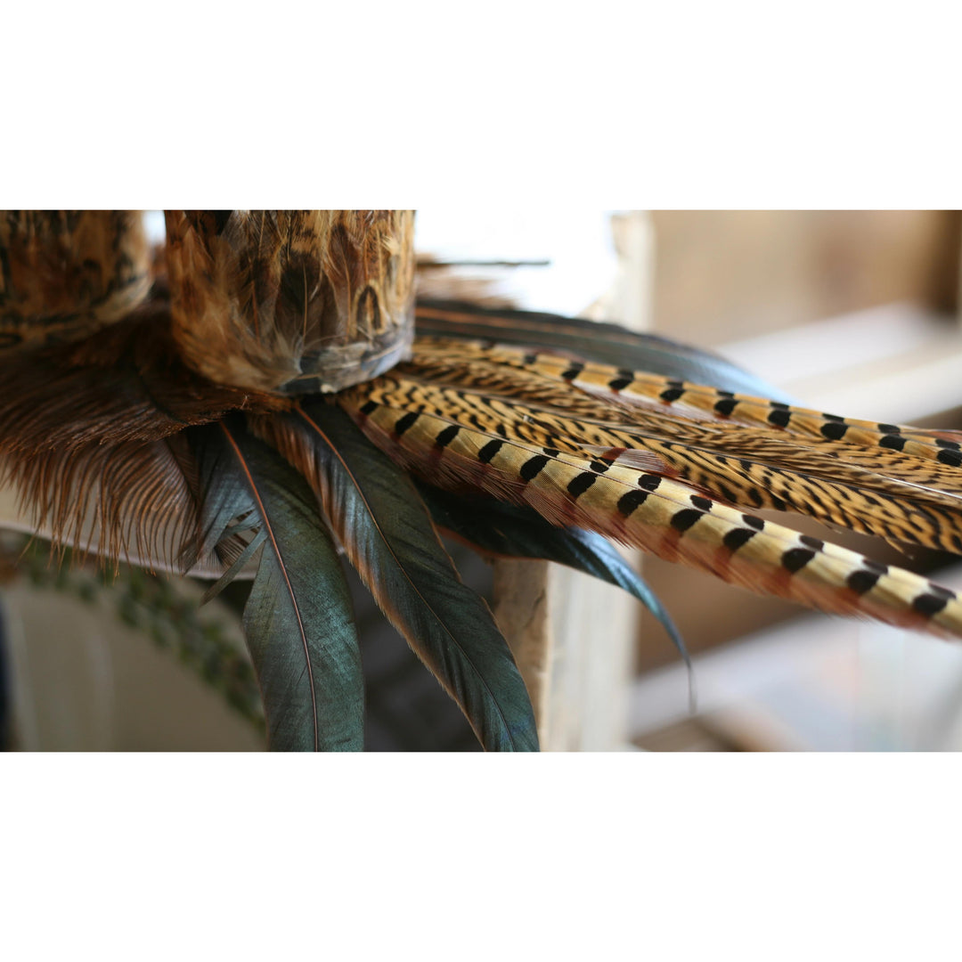 Pheasant Feather Spray 35 inch-HOME/GIFTWARE-K & K INTERIORS, INC.-DEFAULT TITLE-Kevin's Fine Outdoor Gear & Apparel