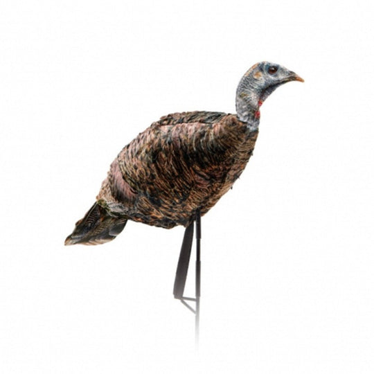 Montana Decoy Co. Miss Purrfect XD Turkey Hen Decoy-Hunting/Outdoors-Kevin's Fine Outdoor Gear & Apparel