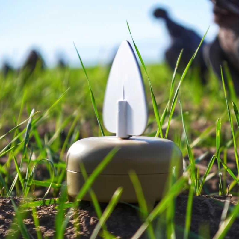 Esca Per Colombi Mojo Dove-A-Flicker - Ali Rotanti, Confezione Da 4 - Foto 11