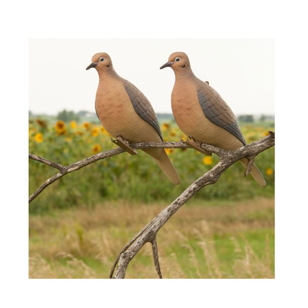 GHG Mourning Dove Decoy Set-HUNTING/OUTDOORS-Kevin's Fine Outdoor Gear & Apparel
