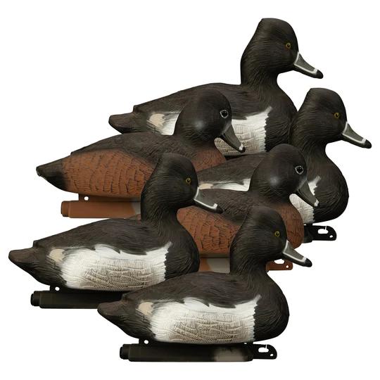 Higdon Standard Foam Filled Ringneck Duck Decoys-Hunting/Outdoors-Kevin's Fine Outdoor Gear & Apparel