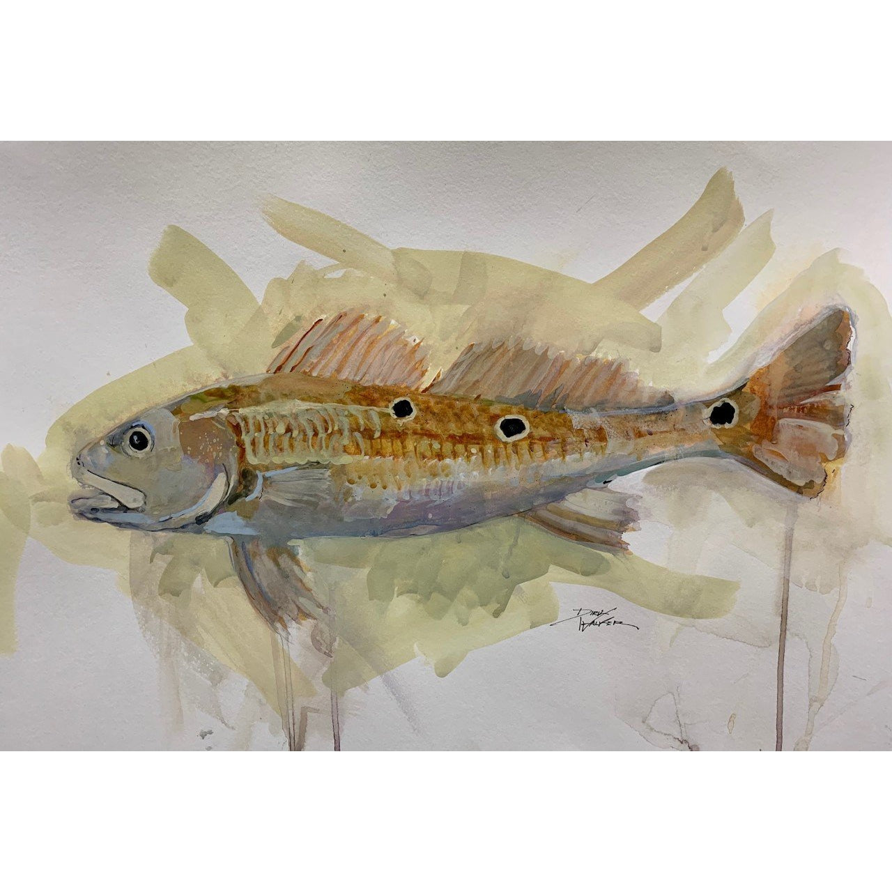 Dirk Walker "Low Country Bull Redfish" Giclee Print-Decor-Kevin's Fine Outdoor Gear & Apparel